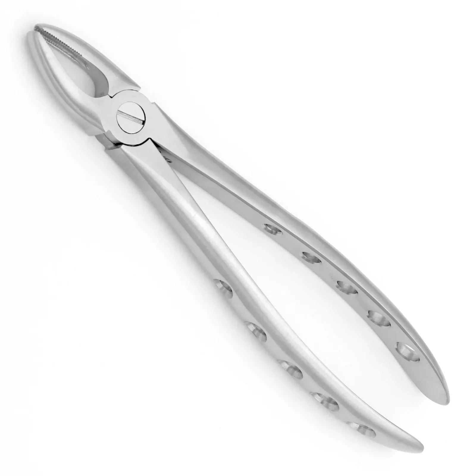 1 Extraction Forceps, 6mm (Pack of 5)