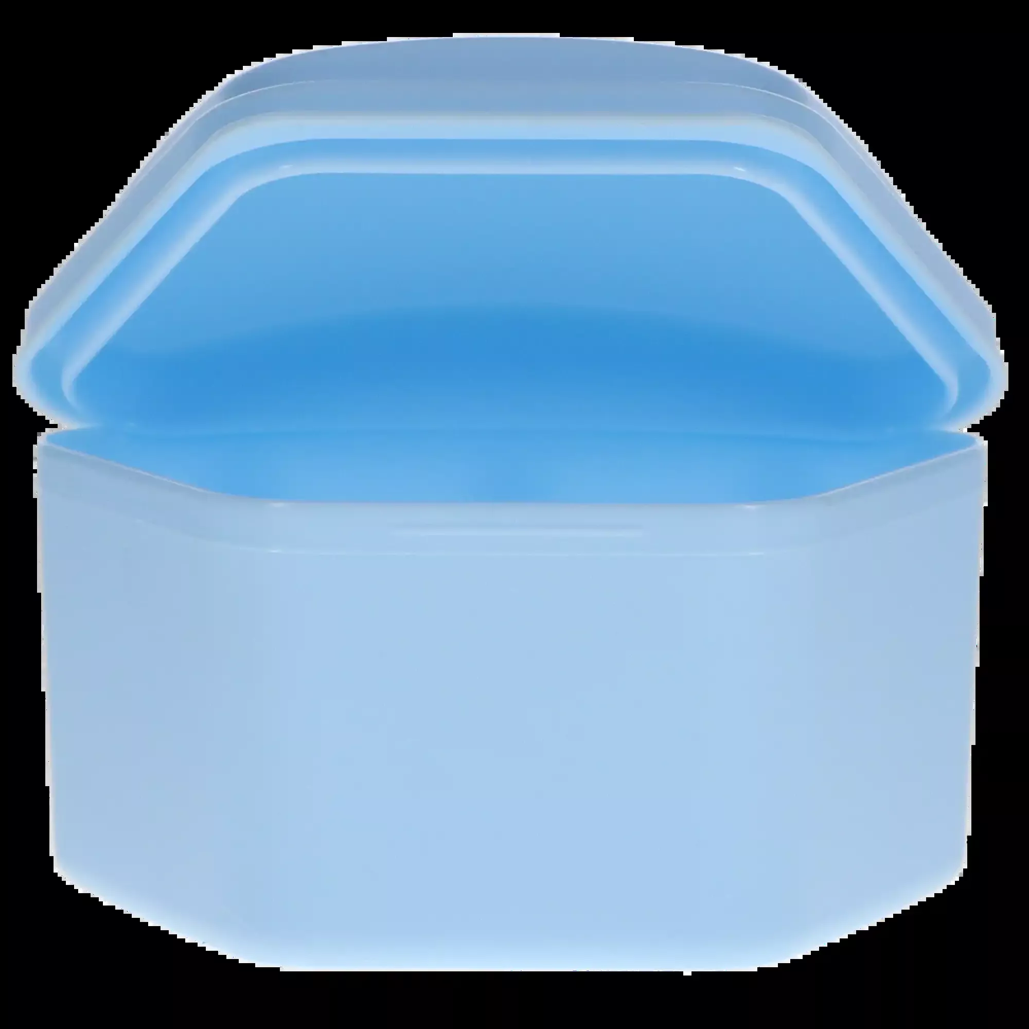 3D - Essentials Denture Box Dozen/Bag Assorted Colors