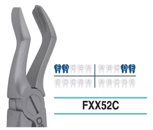 Adult Extraction Forcep, Upper 765-567