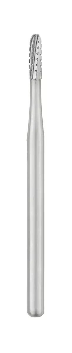 Bur - 1558