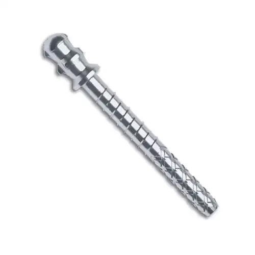 Coltene - ParaPost Plus Titanium P284-5.5 Purple 10/Pk