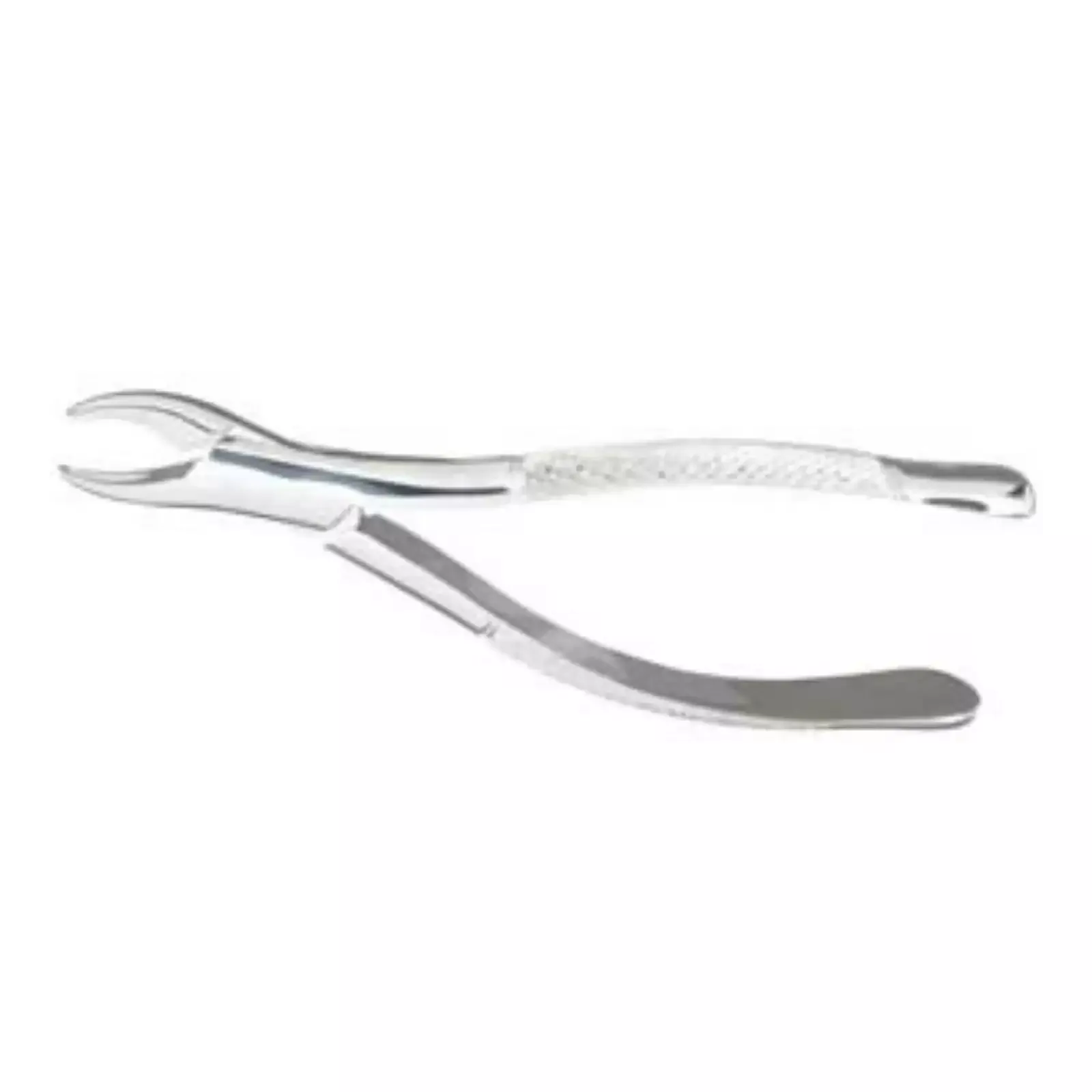 Extracting Forceps #62