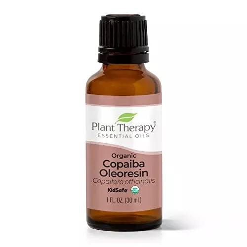 Laurel Leaf Essential Oil - Aromatic Botanical Extract, Versatile for Crafts & Skincare - 30ml