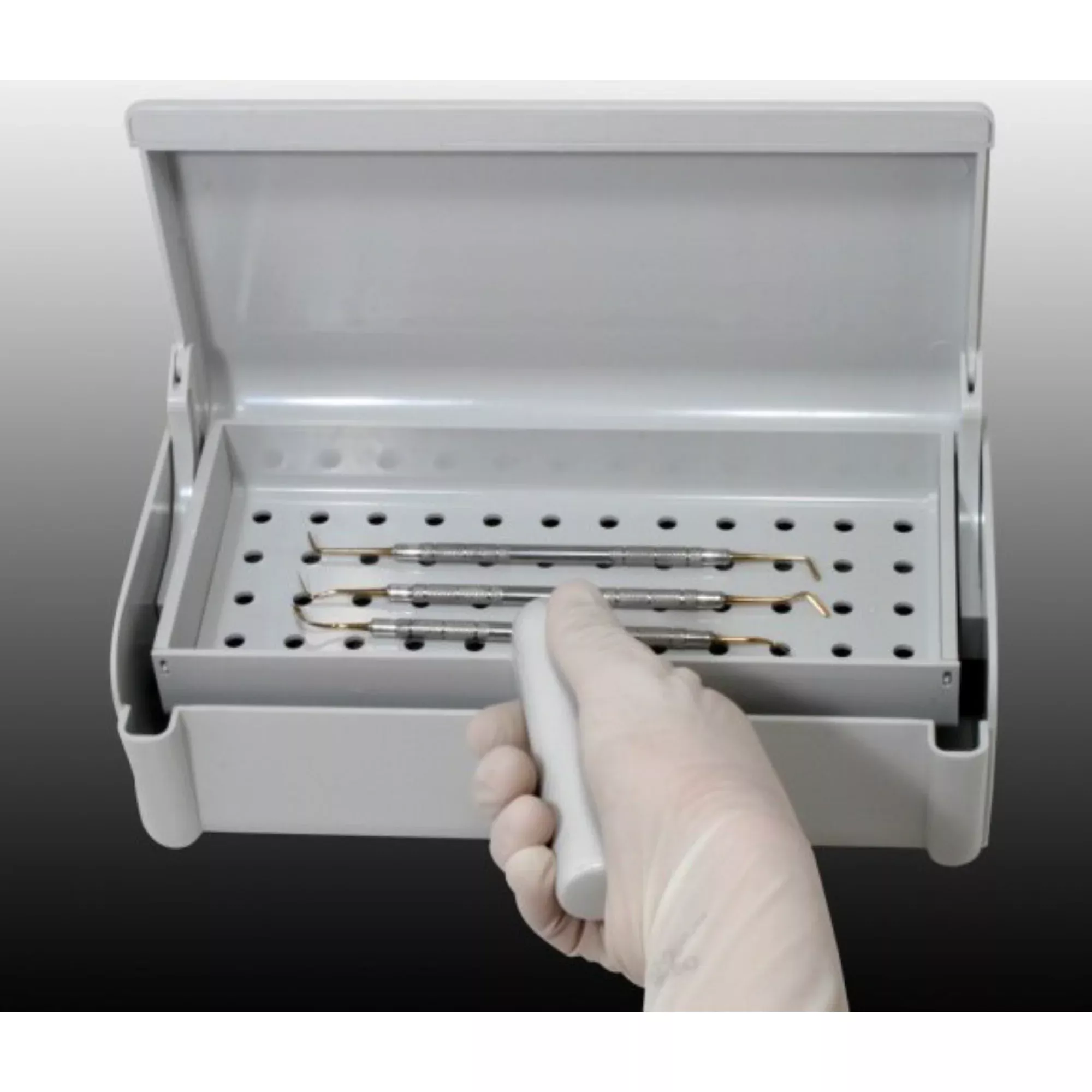 Pascal - Sterilization Tray Gray Ea