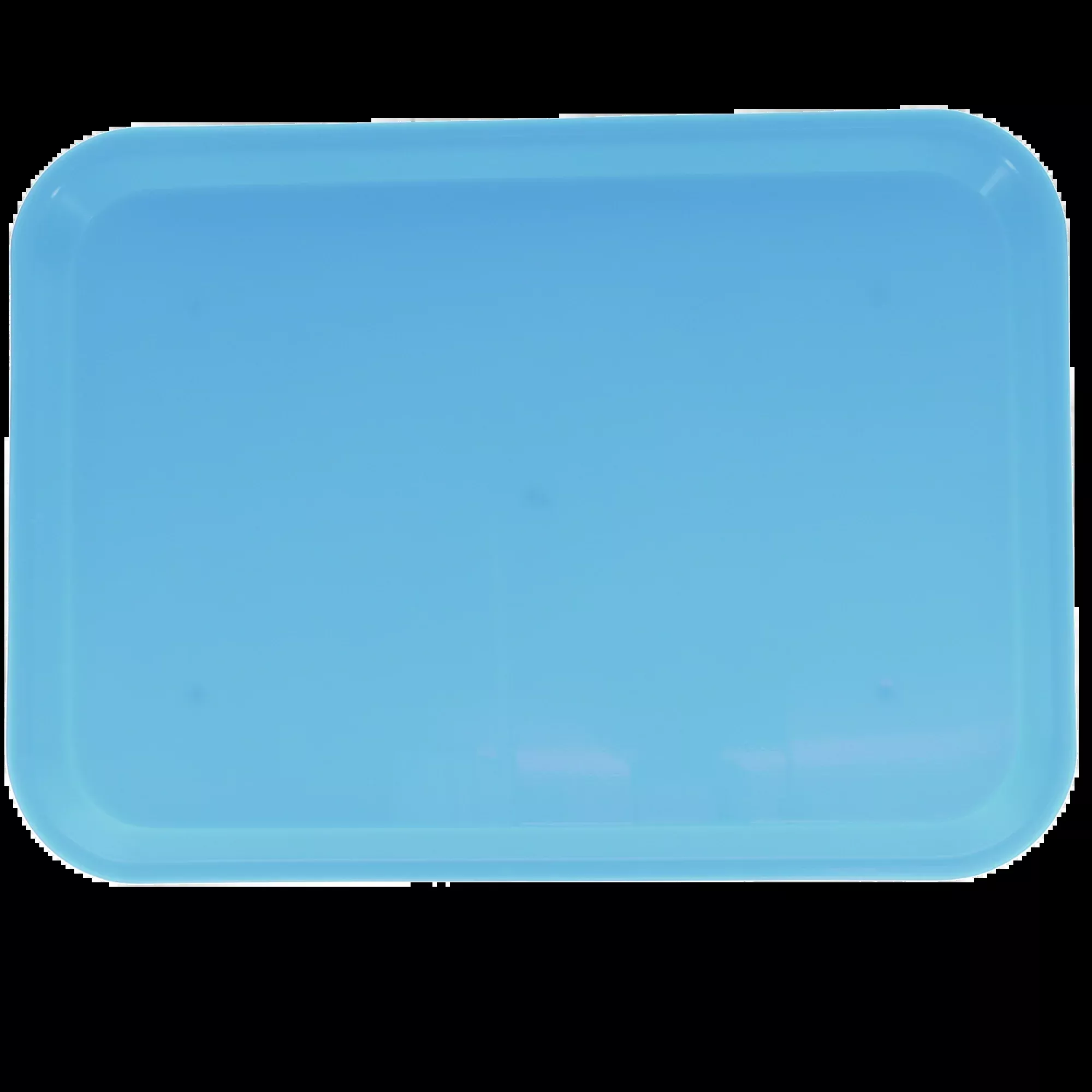 Plasdent - Flat Tray Size B-Blue